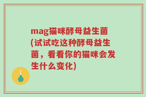 mag猫咪酵母益生菌(试试吃这种酵母益生菌,看看你的猫咪会发生什么变化)-第1张图片-超越 mag猫咪酵母益生菌(试试吃这种酵母益生菌,看看你的猫咪会发生什么变化)-第1张图片-超越