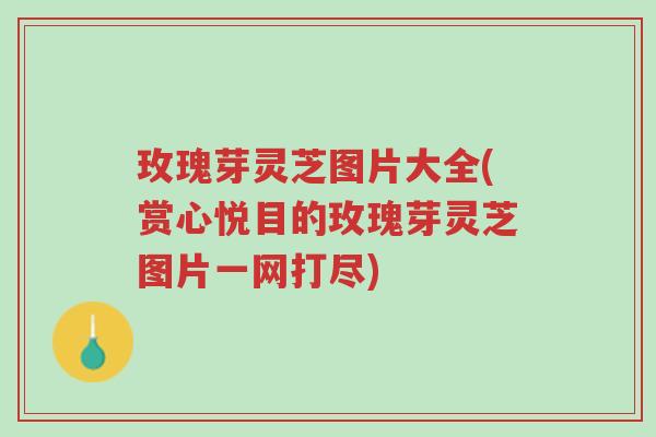 玫瑰芽灵芝图片大全(赏心悦目的玫瑰芽灵芝图片一网打尽)-第1张图片-超越 玫瑰芽灵芝图片大全(赏心悦目的玫瑰芽灵芝图片一网打尽)-第1张图片-超越