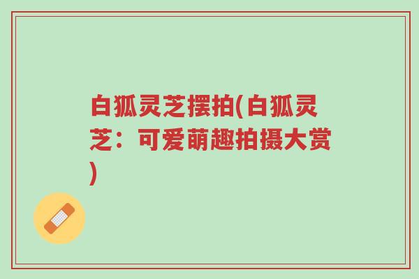 白狐灵芝摆拍(白狐灵芝:可爱萌趣拍摄大赏)-第1张图片-超越 白狐灵芝摆拍(白狐灵芝:可爱萌趣拍摄大赏)-第1张图片-超越