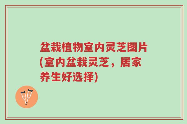 盆栽植物室内灵芝图片(室内盆栽灵芝,居家养生好选择)-第1张图片-超越 盆栽植物室内灵芝图片(室内盆栽灵芝,居家养生好选择)-第1张图片-超越