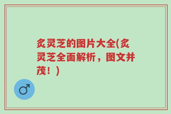 炙灵芝的图片大全(炙灵芝全面解析,图文并茂!)-第1张图片-超越 炙灵芝的图片大全(炙灵芝全面解析,图文并茂!)-第1张图片-超越