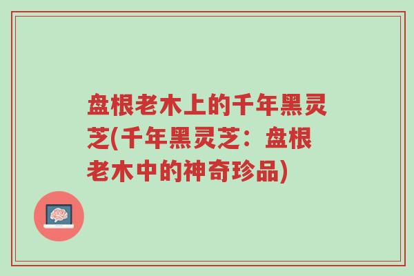 盘根老木上的千年黑灵芝(千年黑灵芝:盘根老木中的神奇珍品)-第1张图片-超越 盘根老木上的千年黑灵芝(千年黑灵芝:盘根老木中的神奇珍品)-第1张图片-超越
