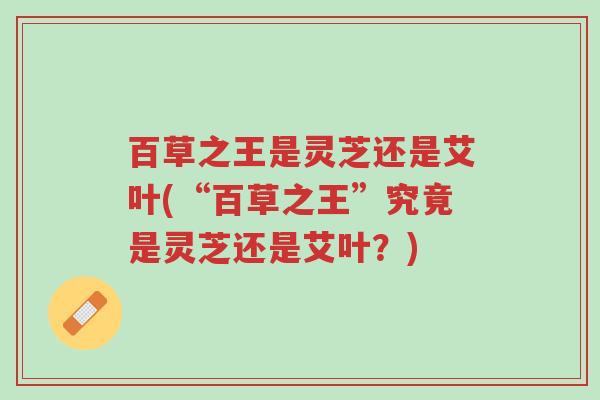 百草之王是灵芝还是艾叶(“百草之王”究竟是灵芝还是艾叶？)-第1张图片-超越