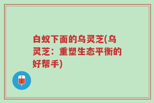 白蚁下面的乌灵芝(乌灵芝：重塑生态平衡的好帮手)-第1张图片-超越