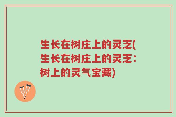 生长在树庄上的灵芝(生长在树庄上的灵芝:树上的灵气宝藏)-第1张图片-超越 生长在树庄上的灵芝(生长在树庄上的灵芝:树上的灵气宝藏)-第1张图片-超越