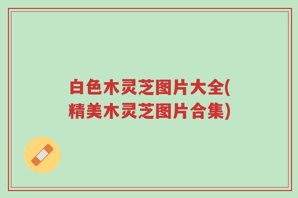 白色木灵芝图片大全(精美木灵芝图片合集)-第1张图片-超越 白色木灵芝图片大全(精美木灵芝图片合集)-第1张图片-超越