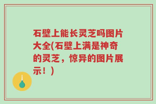 石壁上能长灵芝吗图片大全(石壁上满是神奇的灵芝，惊异的图片展示！)-第1张图片-超越