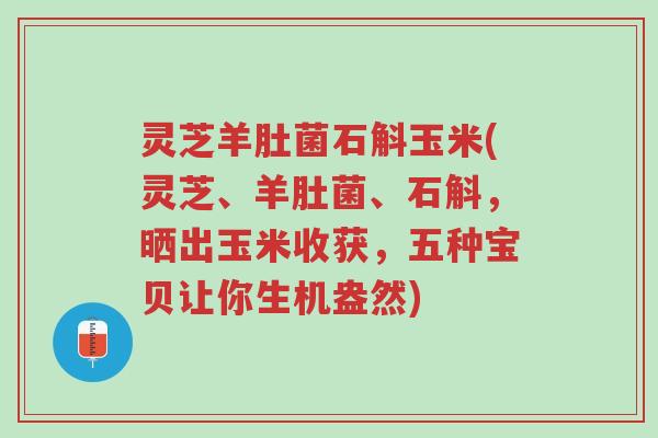 灵芝羊肚菌石斛玉米(灵芝、羊肚菌、石斛，晒出玉米收获，五种宝贝让你生机盎然)-第1张图片-超越
