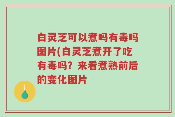 白灵芝可以煮吗有毒吗图片(白灵芝煮开了吃有毒吗？来看煮熟前后的变化图片-第1张图片-超越