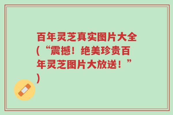 百年灵芝真实图片大全(“震撼!绝美珍贵百年灵芝图片大放送!”)-第1张图片-超越 百年灵芝真实图片大全(“震撼!绝美珍贵百年灵芝图片大放送!”)-第1张图片-超越