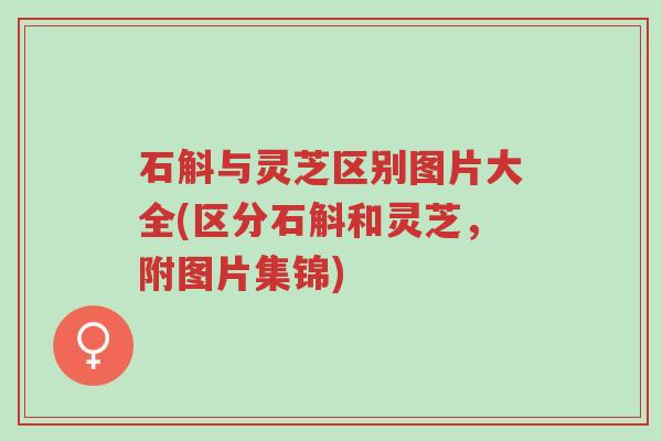 石斛与灵芝区别图片大全(区分石斛和灵芝,附图片集锦)-第1张图片-超越 石斛与灵芝区别图片大全(区分石斛和灵芝,附图片集锦)-第1张图片-超越