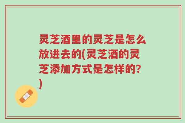 灵芝酒里的灵芝是怎么放进去的(灵芝酒的灵芝添加方式是怎样的？)-第1张图片-超越
