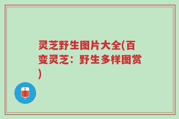 灵芝野生图片大全(百变灵芝:野生多样图赏)-第1张图片-超越 灵芝野生图片大全(百变灵芝:野生多样图赏)-第1张图片-超越