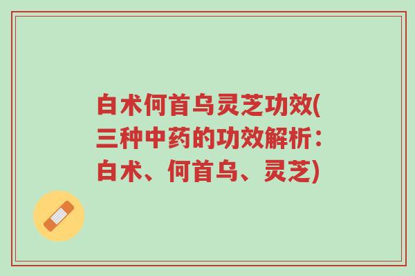 白术何首乌灵芝功效(三种中药的功效解析:白术、何首乌、灵芝)-第1张图片-超越 白术何首乌灵芝功效(三种中药的功效解析:白术、何首乌、灵芝)-第1张图片-超越