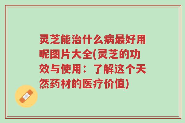 灵芝能治什么病最好用呢图片大全(灵芝的功效与使用:了解这个天然药材的医疗价值)-第1张图片-超越 灵芝能治什么病最好用呢图片大全(灵芝的功效与使用:了解这个天然药材的医疗价值)-第1张图片-超越
