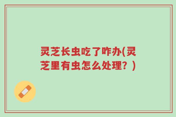 灵芝长虫吃了咋办(灵芝里有虫怎么处理?)-第1张图片-超越 灵芝长虫吃了咋办(灵芝里有虫怎么处理?)-第1张图片-超越