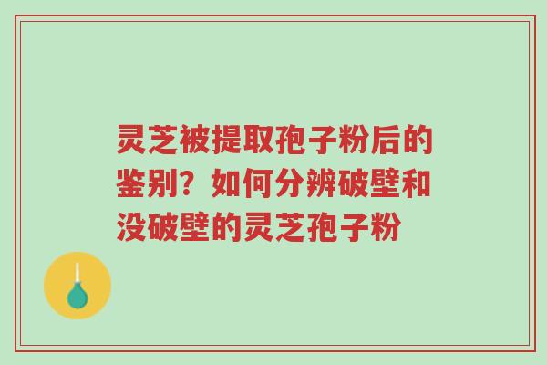灵芝被提取孢子粉后的鉴别?如何分辨破壁和没破壁的灵芝孢子粉-第1张图片-超越 灵芝被提取孢子粉后的鉴别?如何分辨破壁和没破壁的灵芝孢子粉-第1张图片-超越