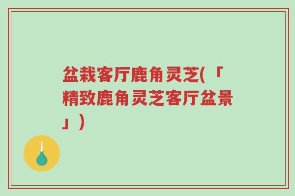 盆栽客厅鹿角灵芝(「精致鹿角灵芝客厅盆景」)-第1张图片-超越 盆栽客厅鹿角灵芝(「精致鹿角灵芝客厅盆景」)-第1张图片-超越