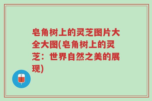 皂角树上的灵芝图片大全大图(皂角树上的灵芝:世界自然之美的展现)-第1张图片-超越 皂角树上的灵芝图片大全大图(皂角树上的灵芝:世界自然之美的展现)-第1张图片-超越