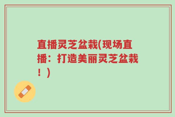 直播灵芝盆栽(现场直播:打造美丽灵芝盆栽!)-第1张图片-超越 直播灵芝盆栽(现场直播:打造美丽灵芝盆栽!)-第1张图片-超越