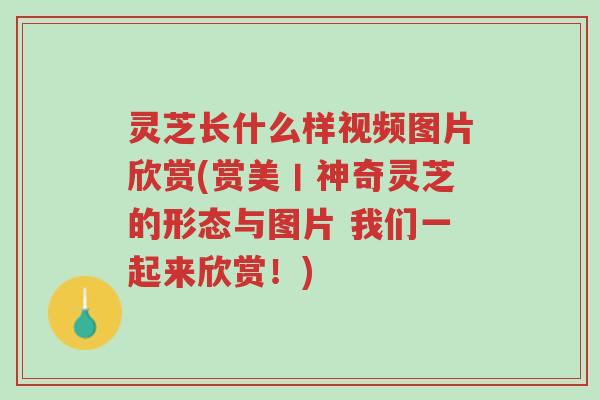 灵芝长什么样视频图片欣赏(赏美丨神奇灵芝的形态与图片 我们一起来欣赏!)-第1张图片-超越 灵芝长什么样视频图片欣赏(赏美丨神奇灵芝的形态与图片 我们一起来欣赏!)-第1张图片-超越