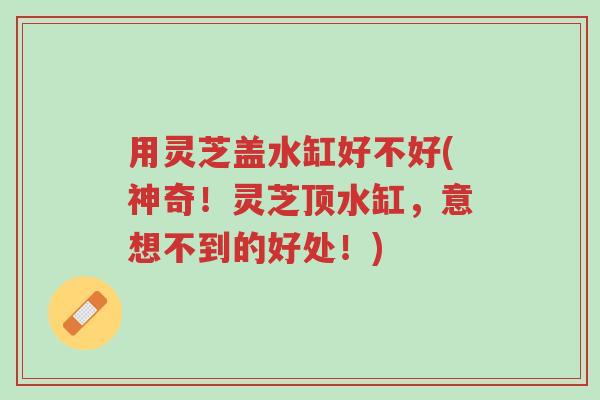 用灵芝盖水缸好不好(神奇!灵芝顶水缸,意想不到的好处!)-第1张图片-超越 用灵芝盖水缸好不好(神奇!灵芝顶水缸,意想不到的好处!)-第1张图片-超越