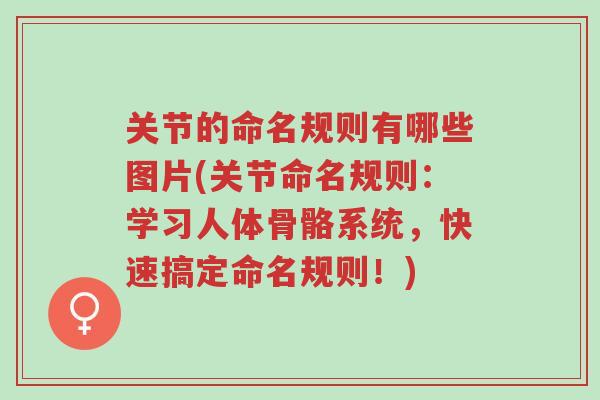 关节的命名规则有哪些图片(关节命名规则：学习人体骨骼系统，快速搞定命名规则！)-第1张图片-超越