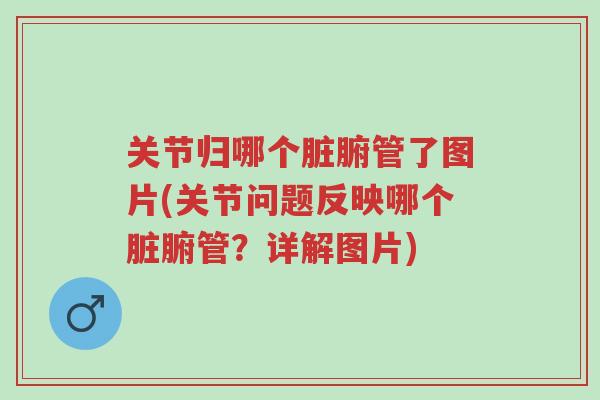 关节归哪个脏腑管了图片(关节问题反映哪个脏腑管?详解图片)-第1张图片-超越 关节归哪个脏腑管了图片(关节问题反映哪个脏腑管?详解图片)-第1张图片-超越
