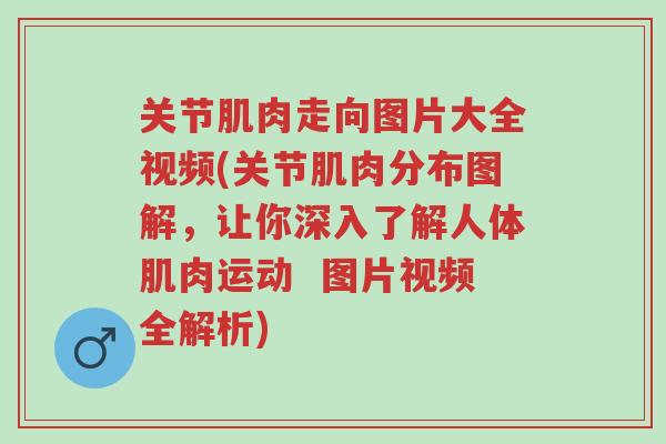 关节肌肉走向图片大全视频(关节肌肉分布图解,让你深入了解人体肌肉运动 图片视频全解析)-第1张图片-超越 关节肌肉走向图片大全视频(关节肌肉分布图解,让你深入了解人体肌肉运动 图片视频全解析)-第1张图片-超越