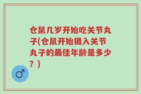 仓鼠几岁开始吃关节丸子(仓鼠开始摄入关节丸子的最佳年龄是多少？)-第1张图片-超越