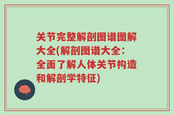 关节完整解剖图谱图解大全(解剖图谱大全:全面了解人体关节构造和解剖学特征)-第1张图片-超越 关节完整解剖图谱图解大全(解剖图谱大全:全面了解人体关节构造和解剖学特征)-第1张图片-超越