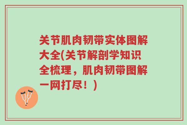 关节肌肉韧带实体图解大全(关节解剖学知识全梳理,肌肉韧带图解一网打尽!)-第1张图片-超越 关节肌肉韧带实体图解大全(关节解剖学知识全梳理,肌肉韧带图解一网打尽!)-第1张图片-超越