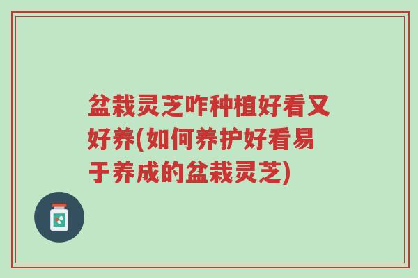 盆栽灵芝咋种植好看又好养(如何养护好看易于养成的盆栽灵芝)-第1张图片-超越 盆栽灵芝咋种植好看又好养(如何养护好看易于养成的盆栽灵芝)-第1张图片-超越