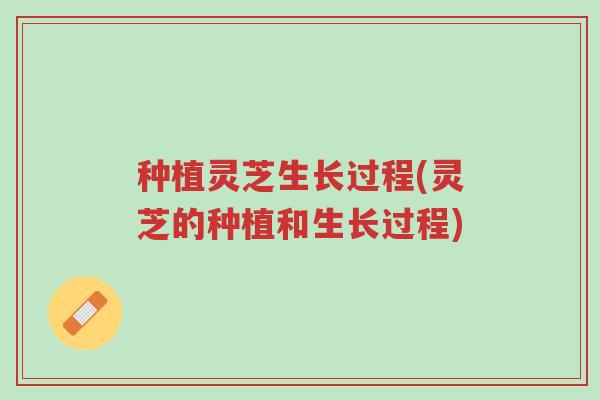 种植灵芝生长过程(灵芝的种植和生长过程)-第1张图片-超越 种植灵芝生长过程(灵芝的种植和生长过程)-第1张图片-超越