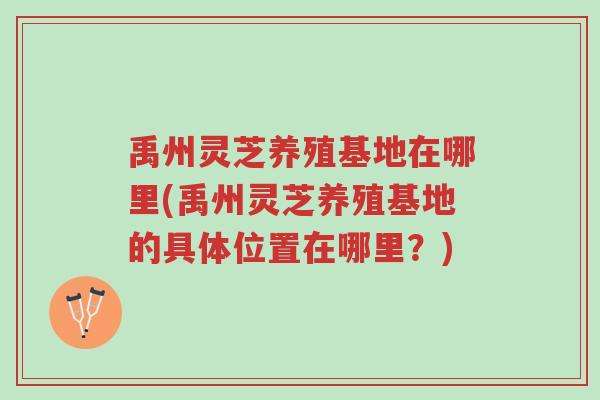 禹州灵芝养殖基地在哪里(禹州灵芝养殖基地的具体位置在哪里?)-第1张图片-超越 禹州灵芝养殖基地在哪里(禹州灵芝养殖基地的具体位置在哪里?)-第1张图片-超越