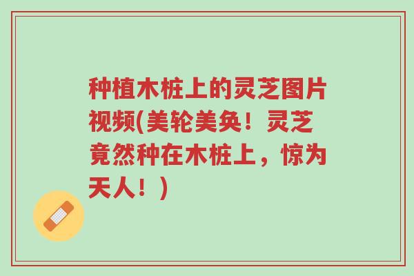 种植木桩上的灵芝图片视频(美轮美奂!灵芝竟然种在木桩上,惊为天人!)-第1张图片-超越 种植木桩上的灵芝图片视频(美轮美奂!灵芝竟然种在木桩上,惊为天人!)-第1张图片-超越