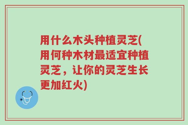 用什么木头种植灵芝(用何种木材最适宜种植灵芝,让你的灵芝生长更加红火)-第1张图片-超越 用什么木头种植灵芝(用何种木材最适宜种植灵芝,让你的灵芝生长更加红火)-第1张图片-超越