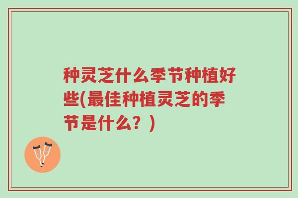 种灵芝什么季节种植好些(最佳种植灵芝的季节是什么?)-第1张图片-超越 种灵芝什么季节种植好些(最佳种植灵芝的季节是什么?)-第1张图片-超越