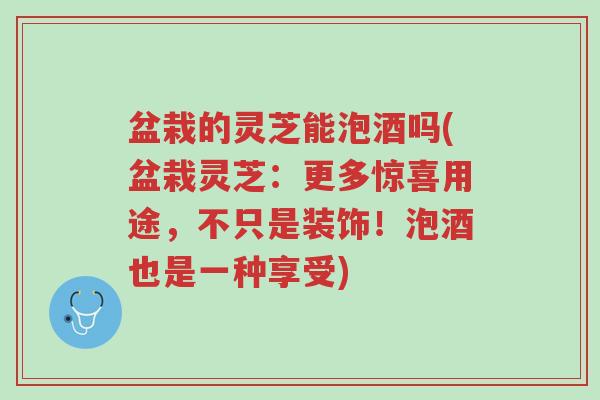 盆栽的灵芝能泡酒吗(盆栽灵芝:更多惊喜用途,不只是装饰!泡酒也是一种享受)-第1张图片-超越 盆栽的灵芝能泡酒吗(盆栽灵芝:更多惊喜用途,不只是装饰!泡酒也是一种享受)-第1张图片-超越