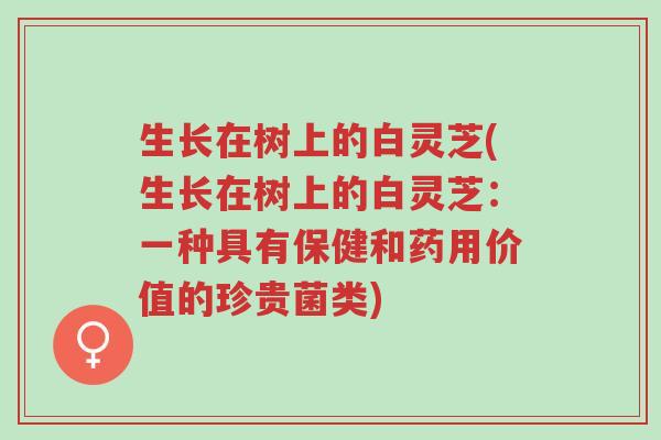 生长在树上的白灵芝(生长在树上的白灵芝:一种具有保健和药用价值的珍贵菌类)-第1张图片-超越 生长在树上的白灵芝(生长在树上的白灵芝:一种具有保健和药用价值的珍贵菌类)-第1张图片-超越