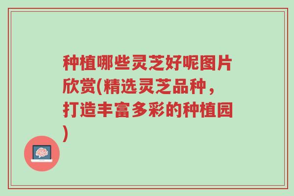 种植哪些灵芝好呢图片欣赏(精选灵芝品种,打造丰富多彩的种植园)-第1张图片-超越 种植哪些灵芝好呢图片欣赏(精选灵芝品种,打造丰富多彩的种植园)-第1张图片-超越