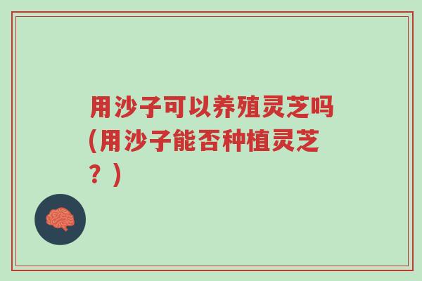 用沙子可以养殖灵芝吗(用沙子能否种植灵芝?)-第1张图片-超越 用沙子可以养殖灵芝吗(用沙子能否种植灵芝?)-第1张图片-超越
