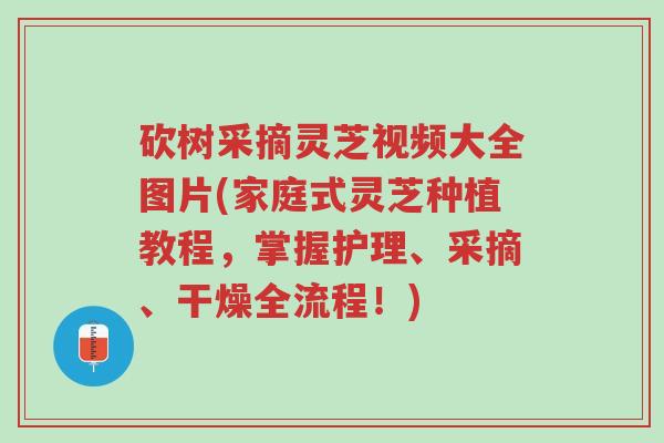 砍树采摘灵芝视频大全图片(家庭式灵芝种植教程,掌握护理、采摘、干燥全流程!)-第1张图片-超越 砍树采摘灵芝视频大全图片(家庭式灵芝种植教程,掌握护理、采摘、干燥全流程!)-第1张图片-超越