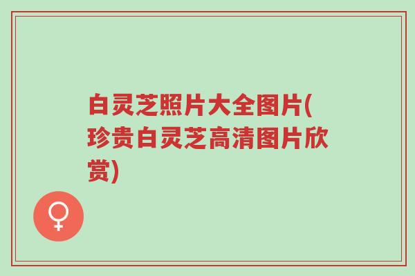白灵芝照片大全图片(珍贵白灵芝高清图片欣赏)-第1张图片-超越 白灵芝照片大全图片(珍贵白灵芝高清图片欣赏)-第1张图片-超越