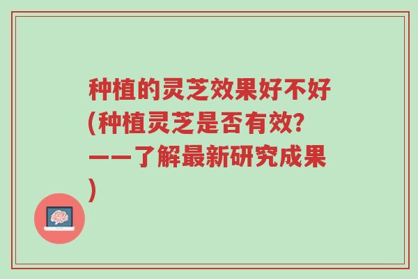 种植的灵芝效果好不好(种植灵芝是否有效?——了解最新研究成果)-第1张图片-超越 种植的灵芝效果好不好(种植灵芝是否有效?——了解最新研究成果)-第1张图片-超越