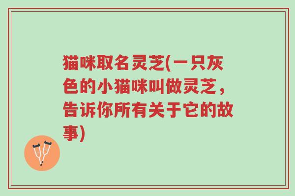 猫咪取名灵芝(一只灰色的小猫咪叫做灵芝,告诉你所有关于它的故事)-第1张图片-超越 猫咪取名灵芝(一只灰色的小猫咪叫做灵芝,告诉你所有关于它的故事)-第1张图片-超越