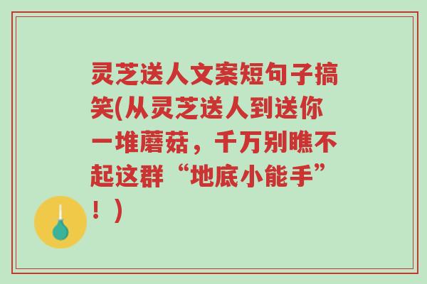 灵芝送人文案短句子搞笑(从灵芝送人到送你一堆蘑菇,千万别瞧不起这群“地底小能手”!)-第1张图片-超越 灵芝送人文案短句子搞笑(从灵芝送人到送你一堆蘑菇,千万别瞧不起这群“地底小能手”!)-第1张图片-超越