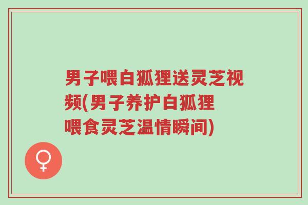 男子喂白狐狸送灵芝视频(男子养护白狐狸 喂食灵芝温情瞬间)-第1张图片-超越 男子喂白狐狸送灵芝视频(男子养护白狐狸 喂食灵芝温情瞬间)-第1张图片-超越