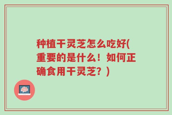 种植干灵芝怎么吃好(重要的是什么！如何正确食用干灵芝？)-第1张图片-超越