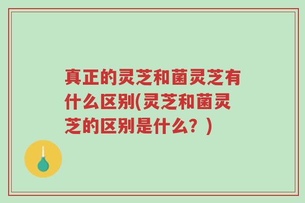 真正的灵芝和菌灵芝有什么区别(灵芝和菌灵芝的区别是什么?)-第1张图片-超越 真正的灵芝和菌灵芝有什么区别(灵芝和菌灵芝的区别是什么?)-第1张图片-超越